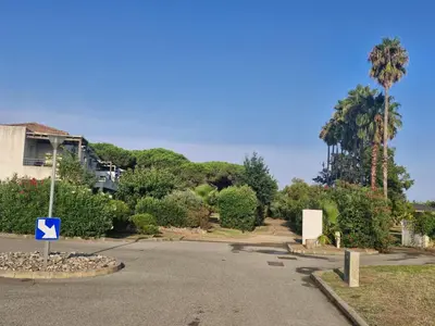 an empty street with a house and palm trees at Casa Giul' Poggio Mezzana in Poggio-Mezzana