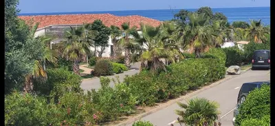 a street with palm trees in front of a house at Casa Giul' Poggio Mezzana in Poggio-Mezzana