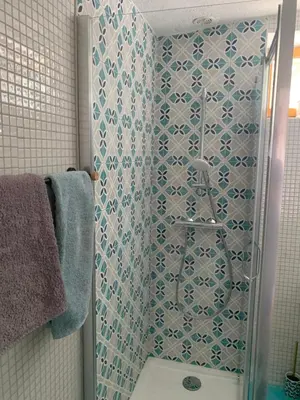a bathroom with a shower with a toilet in it at Bella Vista in SantʼAntonino