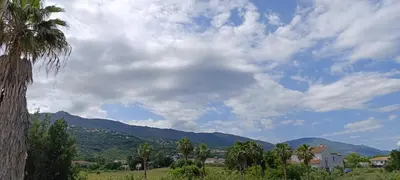 a cloudy sky with a palm tree and mountains at villa Lucciana in Lucciana