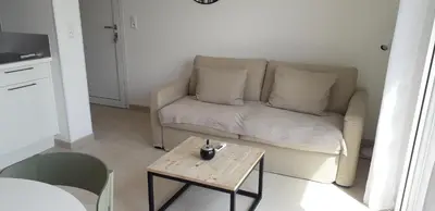 a living room with a couch and a coffee table at Appartement T2 bord de mer N165 in Linguizzetta