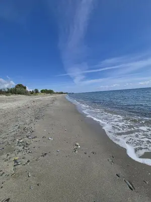 a beach with footprints in the sand and water at hjpp in Poggio-Mezzana