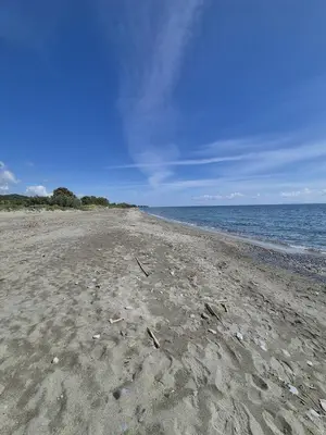 a beach with footprints in the sand and the ocean at hjpp in Poggio-Mezzana