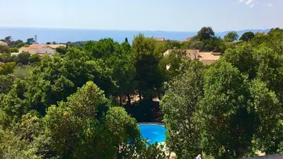 an overhead view of a swimming pool between trees at Superb sea view villa with pool and big garden in Pietrosella