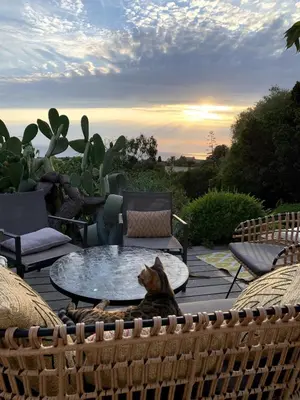 a cat sitting on a chair next to a table at Superb sea view villa with pool and big garden in Pietrosella