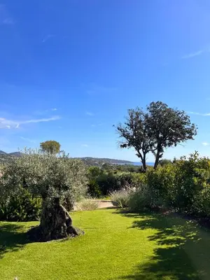 a garden with trees and green grass and bushes at Casa Sarra Di Pinarello in Pinarellu