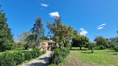 a house in the middle of a field with trees at Maison - chambres d'hotes in Prunelli-di-Fiumorbo