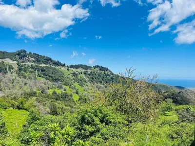 a hill with trees and the ocean in the background at Charming house with sea view Emily in Porri in Porri