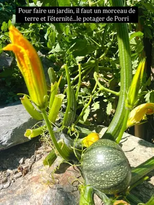 a close up of a green plant with a flower at Charming house with sea view Emily in Porri in Porri