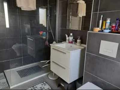 a bathroom with a sink and a shower and a toilet at porticcio in Porticcio
