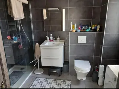 a bathroom with a sink and a toilet and a shower at porticcio in Porticcio