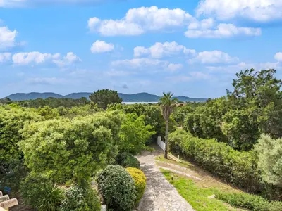 a path through a garden with a palm tree at Holiday Home Villa Marina by Interhome in Porto-Vecchio