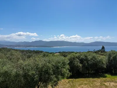 a view of a large body of water with trees at Family Villa with Pool and Sublime Sea View in Olmeto