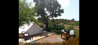a white tent sitting next to a tree at Le Tipi 2 in Lecci