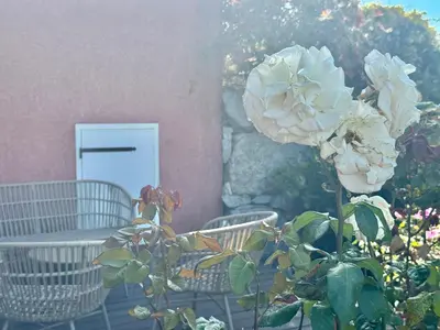 a white rose sitting next to a table and chairs at Deux pièces tout confort sur les hauteurs de Propriano in Propriano