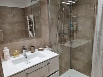 a bathroom with a sink and a shower at Appartement Neuf Grande Terrasse AGOSTA PLAGE in Albitreccia