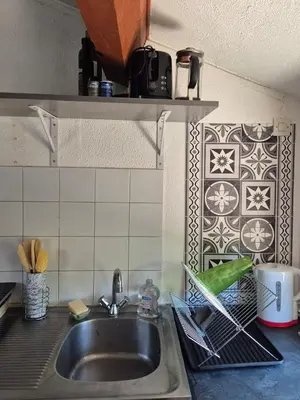 a kitchen sink with a green bird sitting on a rack at Appartement calme & cosy vue montagne in Corte