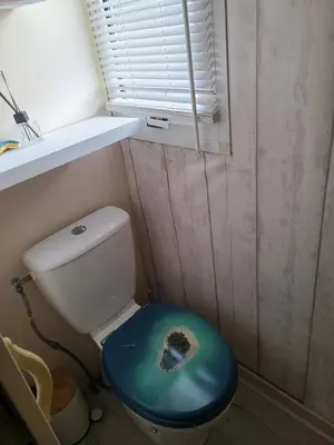 a bathroom with a toilet with a blue lid at Chalet en bois climatisé À 300 m de la plage Marina di Sorbo 6 personnes in Sorbo-Ocagnano