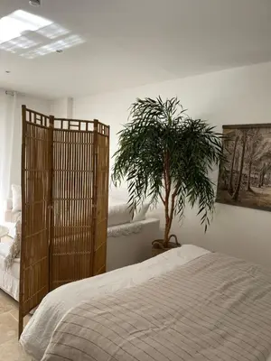 a bedroom with a bed and a potted plant at Casa Di Lortu villa in Ajaccio