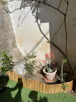 a patio with a table and a plant and an umbrella at Casa Di mamou in Loreto-di-Tallano