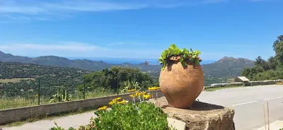 a large vase sitting on the side of a road at Bella vista in Costa