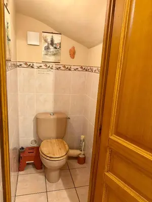 a bathroom with a toilet with a wooden seat at Grand appartement vue mer Agosta in Albitreccia