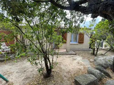 a small tree in front of a house at Mini villa plage de saint cyprien in Lecci