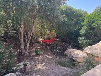a red hammock hanging from a tree in a forest at Villa Porto Vecchio, calme avec piscine in Porto-Vecchio