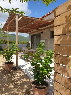 a patio with two potted plants and a wooden pergola at Gozzi Mandriolu in Afa