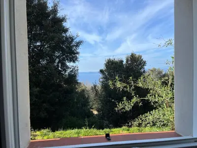 an open window with a view of trees at RANDOS à 15 mn de la plage COTI CHIAVARI Vue exceptionnelle Appart indépendant 3 ch in Coti-Chiavari