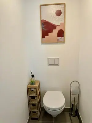 a bathroom with a toilet and a picture on the wall at T2 confort - résidence privée in Propriano