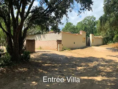 a building with a tree next to a dirt road at Délice du maquis Corse in Porto-Vecchio