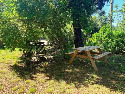 a picnic table and a chair sitting next to a tree at Délice du maquis Corse in Porto-Vecchio
