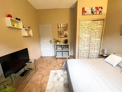 a bedroom with a bed and a flat screen tv at Délice du maquis Corse in Porto-Vecchio