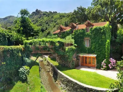 a house covered in green ivy with a yard at Holiday Apartment Segura 2 in Oletta