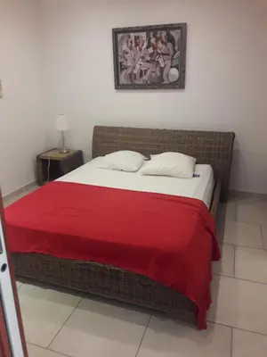 a bedroom with a large bed with a red blanket at Briloc Appartements Pietrosella à 50m de la plage in Pietrosella