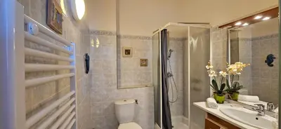 a bathroom with a shower and a toilet and a sink at T1 Pinedda, Studio confort-Vue mer- Calme & soleil in Propriano