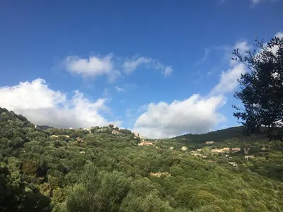 a view of a hill with trees and houses on it at Gîte Inseme, le calme entre mer et montagne en Corse in Arbellara