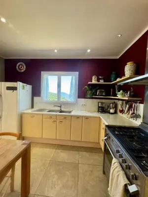 a kitchen with a sink and a refrigerator at Gîte Inseme, le calme entre mer et montagne en Corse in Arbellara