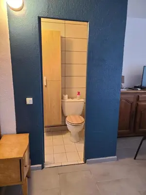 a bathroom with a toilet and a blue wall at Casinu - Casino in San-Nicolao