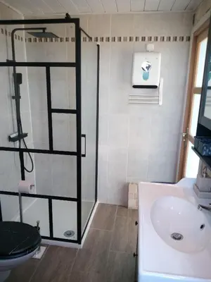 a bathroom with a shower and a sink at La Ferme Du Maquis in Antisanti