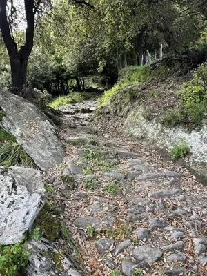 a stone path on a hill with trees at Tour avec rooftop, vue mer, séjour insolite entre ciel et mer in Porri