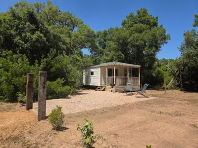 a cabin in the middle of a field with trees at La Vigne in Lecci