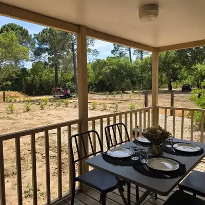 La Vigne