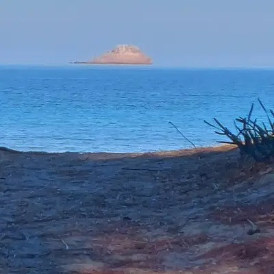 a painting of an island in the ocean at Clos Jeannette Villa près de la plage de Pinarelle et des piscines naturelles du Cavu in Zonza