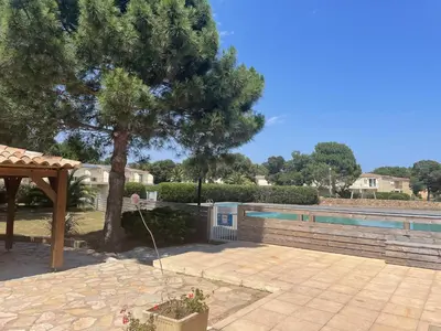 a yard with a tree and a swimming pool at Fiori di Cala Rossa Signature in Lecci