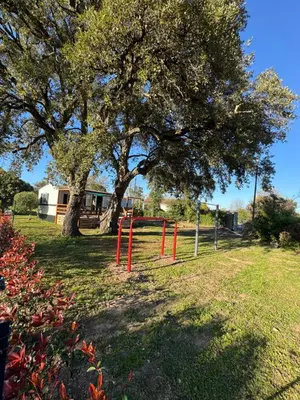 a tree with red posts in a field with a fence at I Dui Quarci in Prunelli-di-Fiumorbo