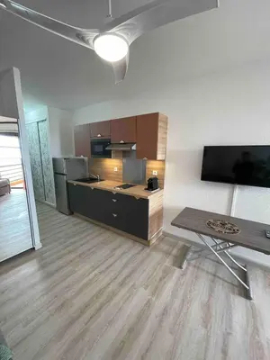 a large room with a kitchen and a table at Studio vue Mer 4 personnes climatisé in Santa-Lucia-di-Moriani