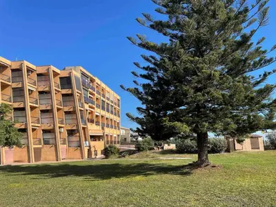 a pine tree in front of a building at Studio vue Mer 4 personnes climatisé in Santa-Lucia-di-Moriani