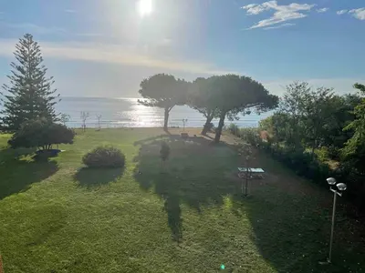 an aerial view of a park with trees and the ocean at Studio vue Mer 4 personnes climatisé in Santa-Lucia-di-Moriani